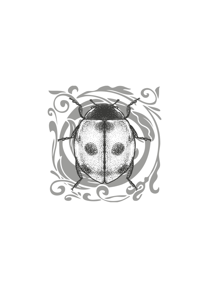 Hidden Product Image 17