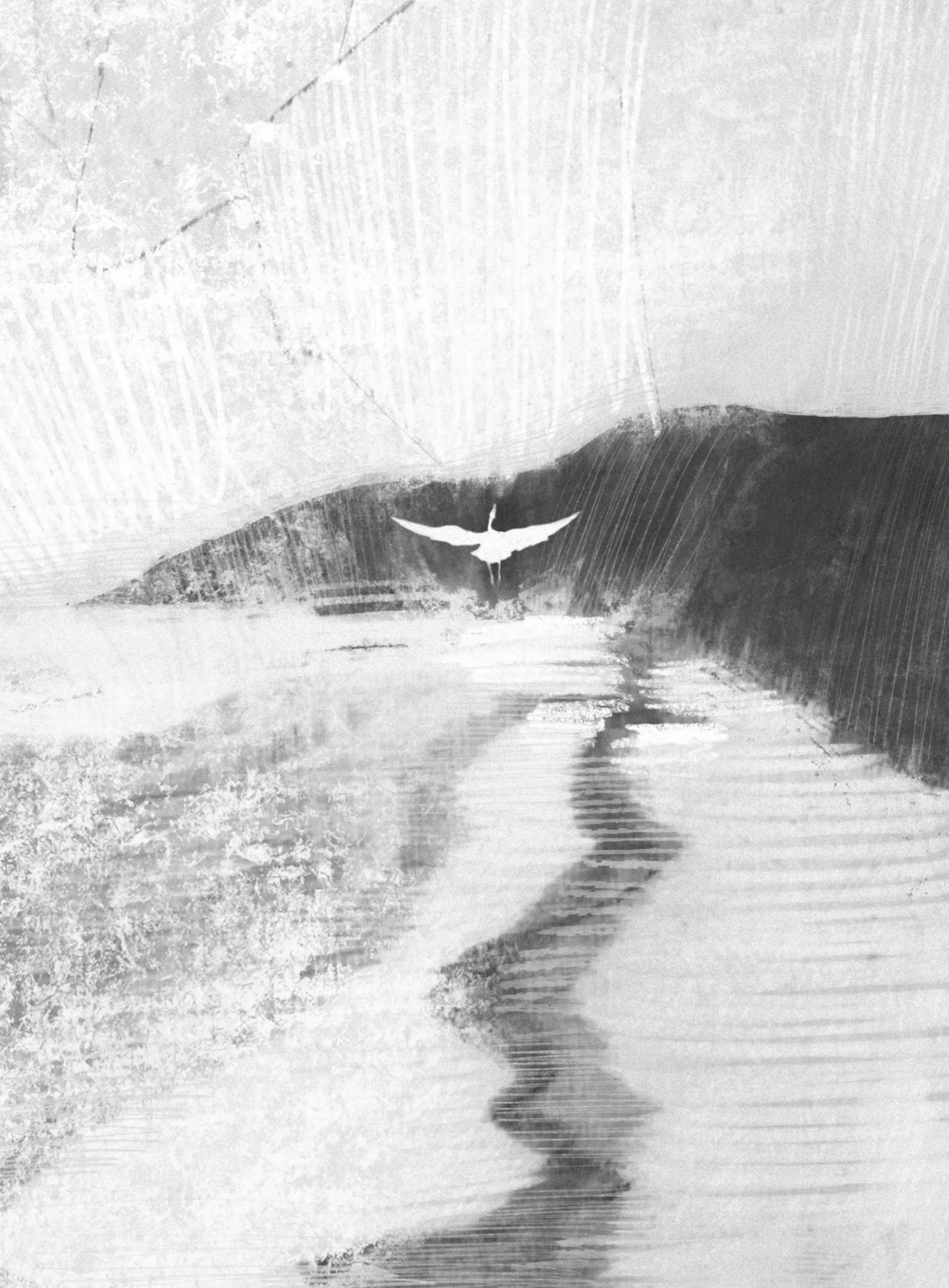 Hidden Product Image 6