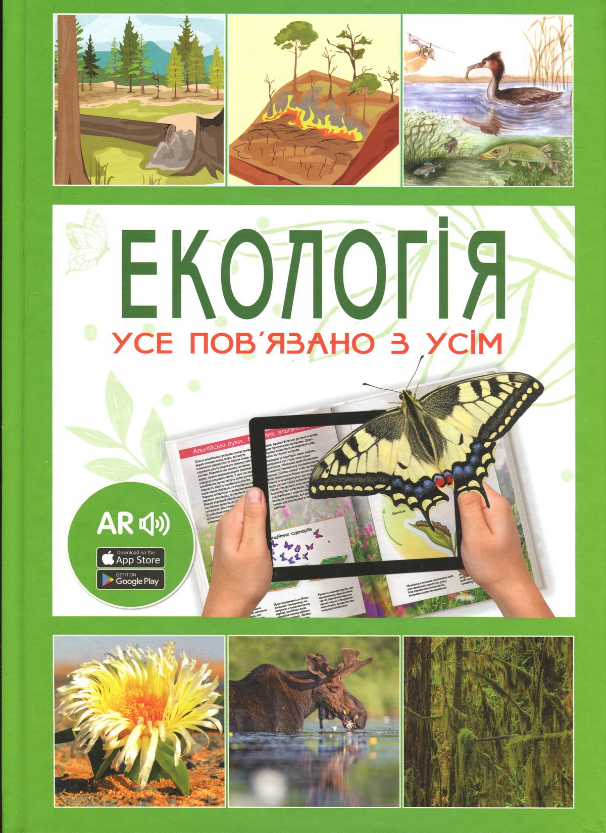 Main Product