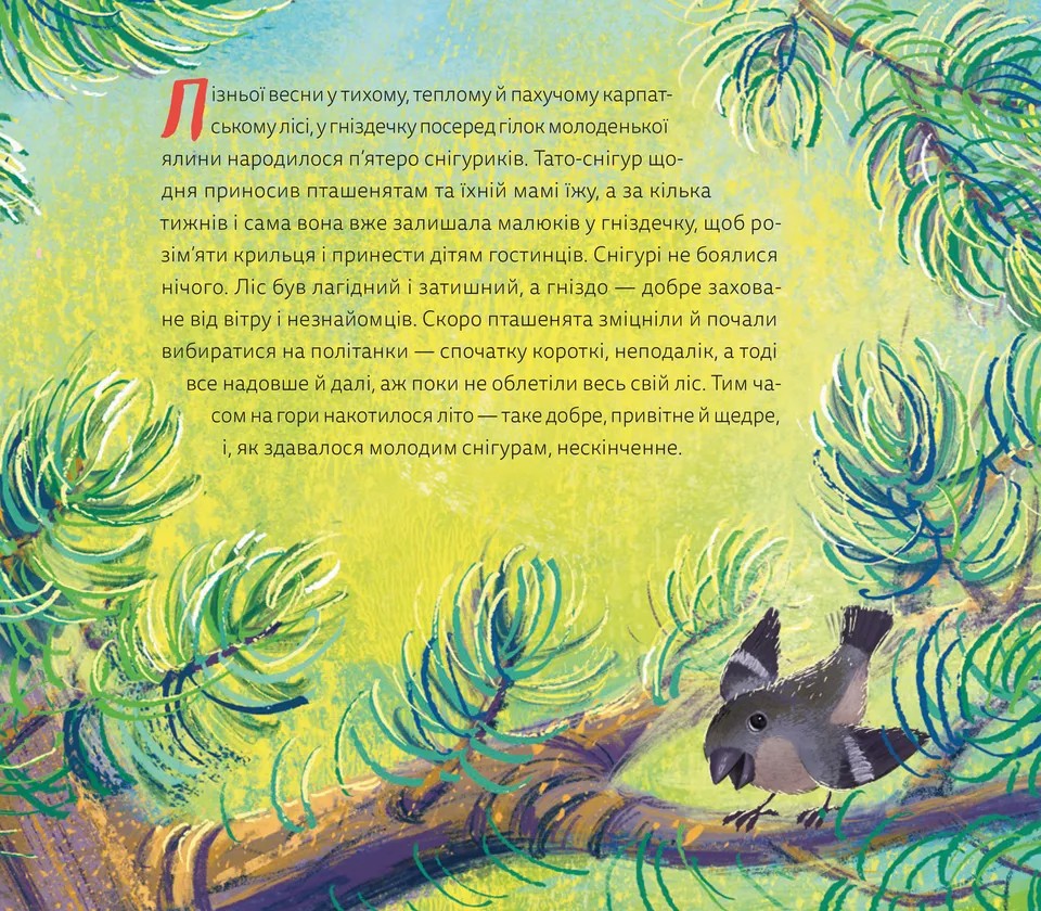 Hidden Product Image 11