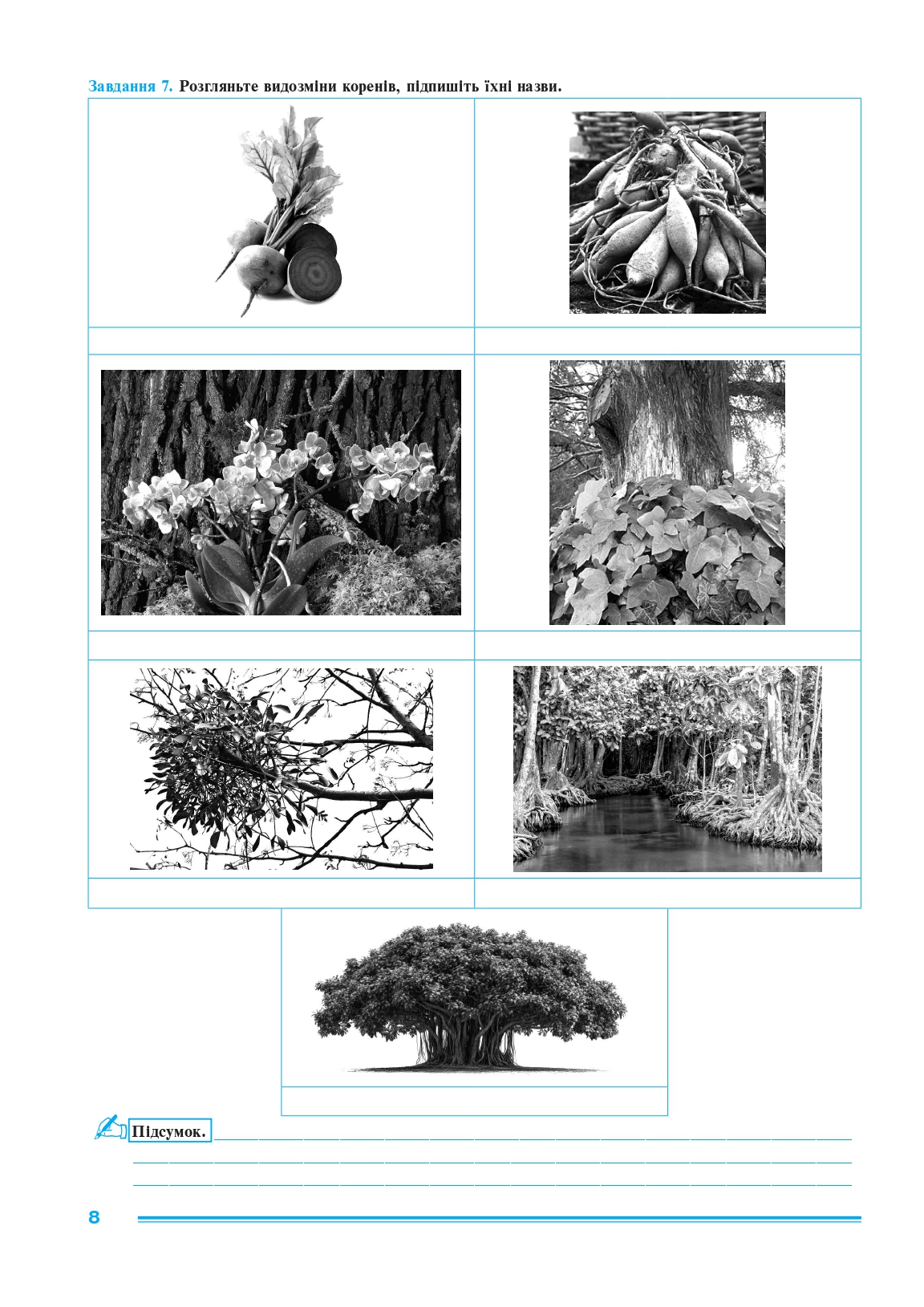 Hidden Product Image 6