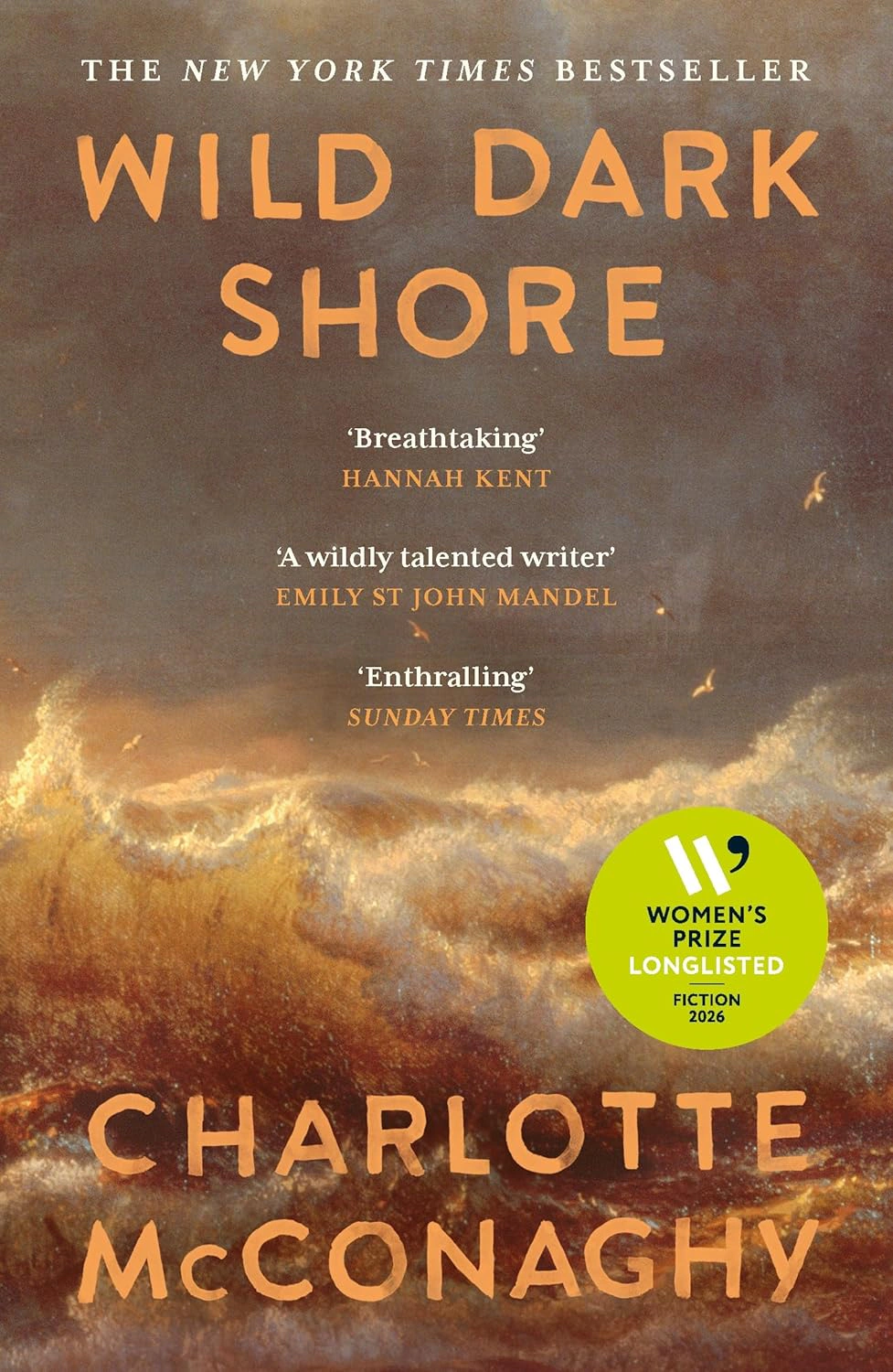 Обкладинка Wild Dark Shore