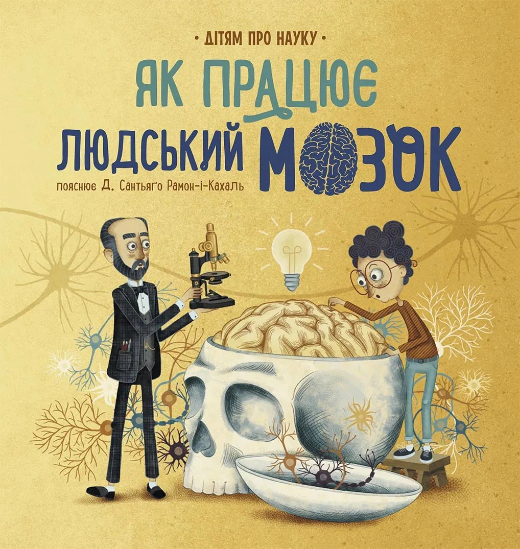 Обкладинка Як працює людський мозок