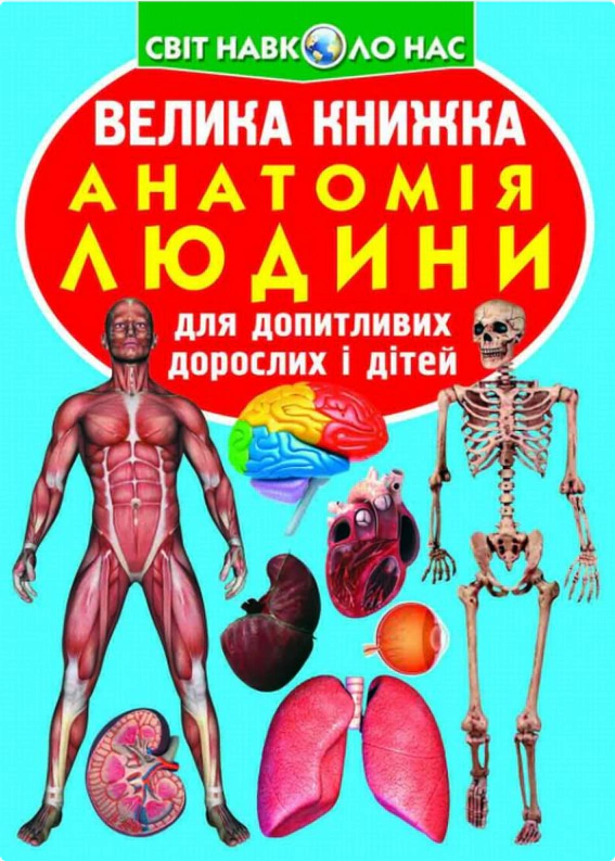 Обкладинка Велика книжка. Анатомія людини