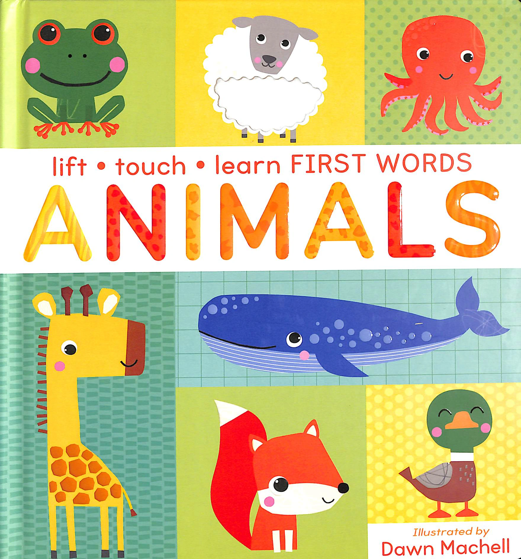 Обкладинка Lift, Touch Learn First Words. Animals