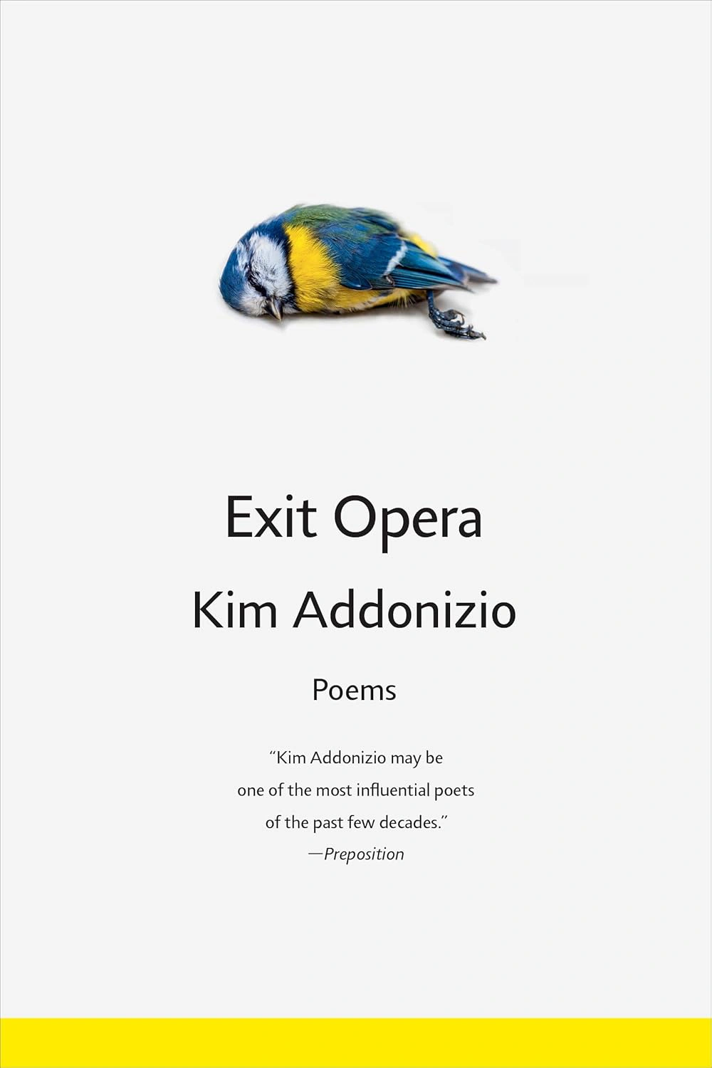 Exit Opera. Poems — фото 2