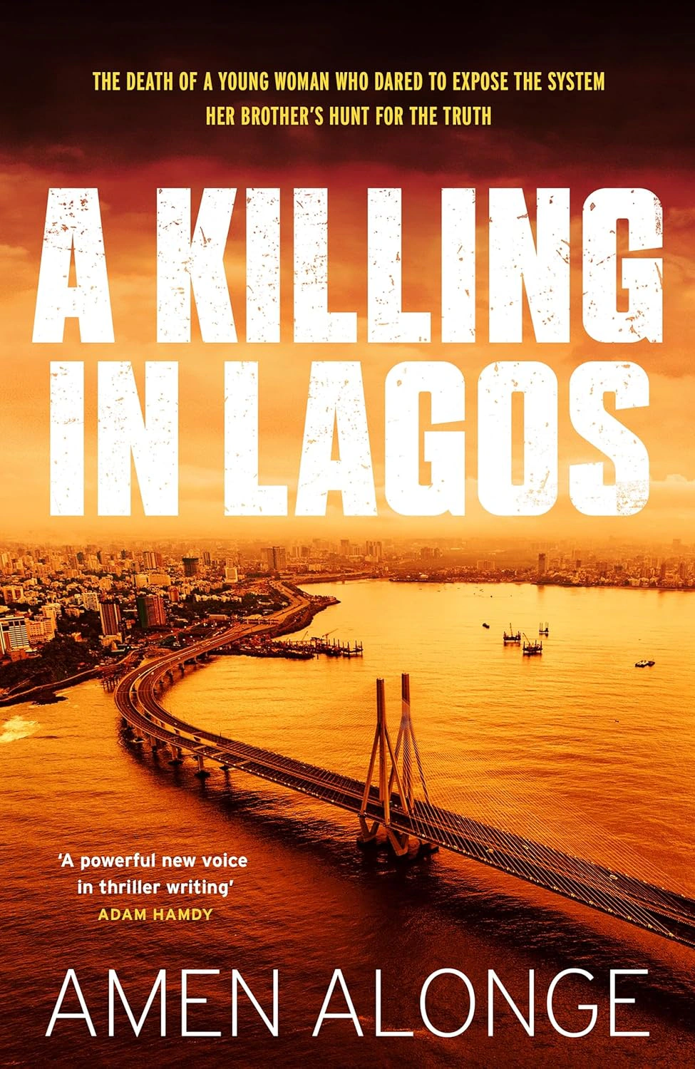 A Killing in Lagos — фото 2