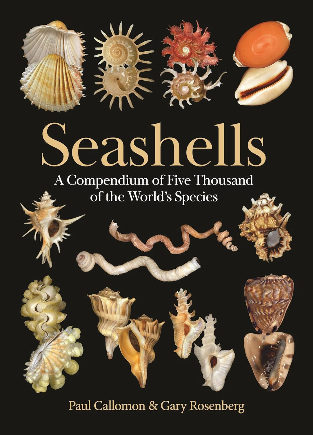 Seashells: A Compendium of Five Thousand of the World's Species — фото 2