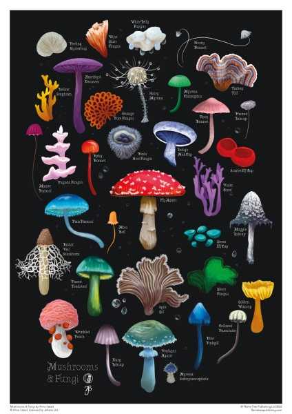 Adult Cylinder Jigsaw Puzzle Anna Stead: Mushrooms & Fungi 1000 Pieces — фото 2