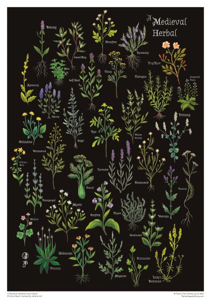 Adult Cylinder Jigsaw Puzzle Anna Stead: A Medieval Herbal 1000 Pieces — фото 2