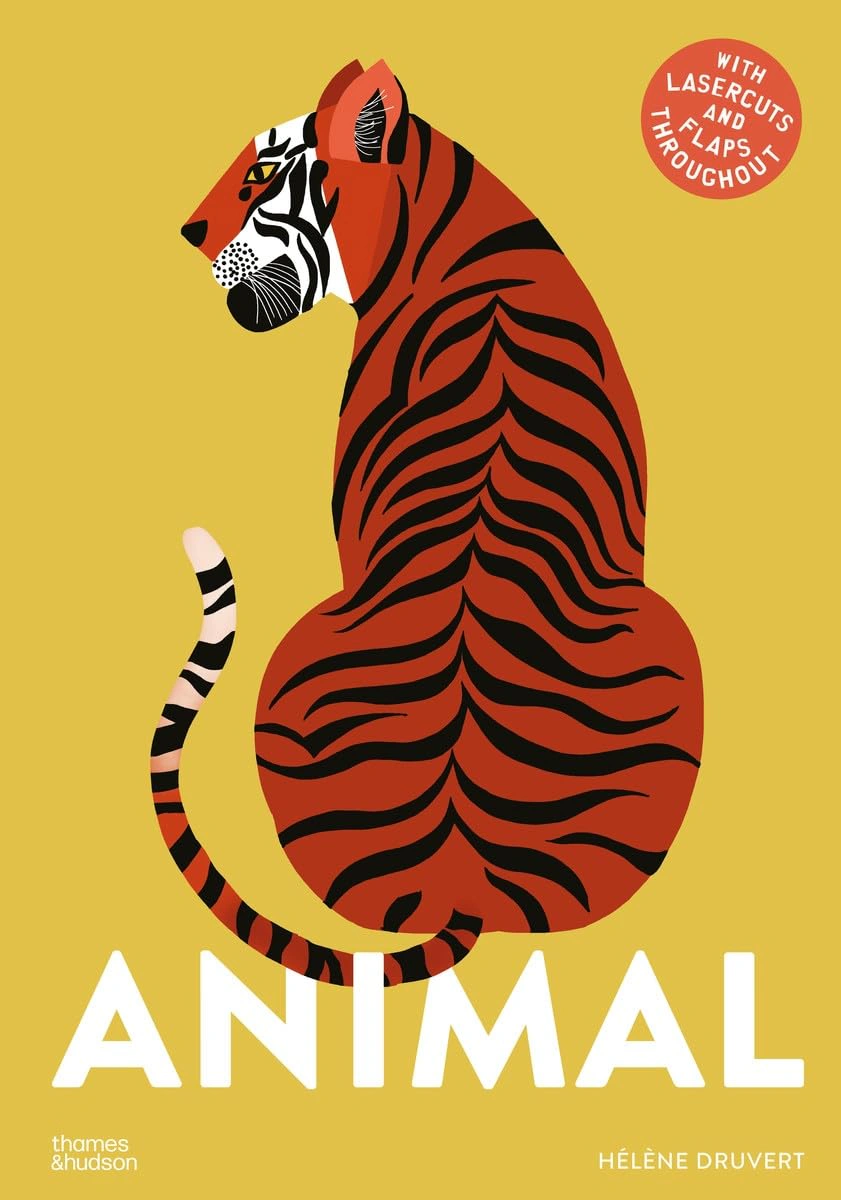 Animal — фото 2