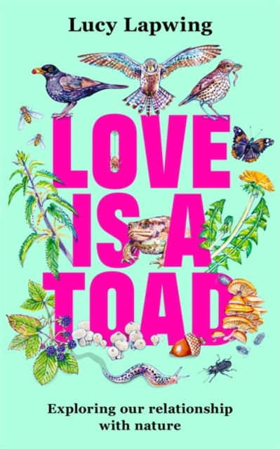 Love Is A Toad — фото 3