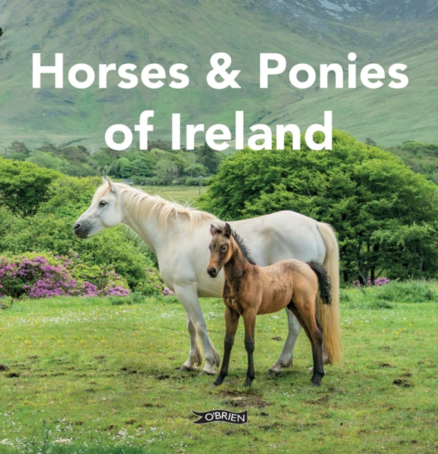 Horses and Ponies of Ireland — фото 2