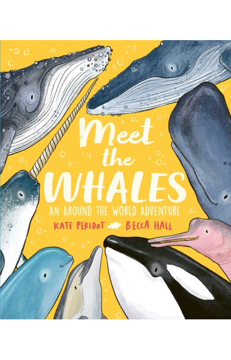 Main Product