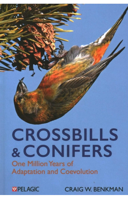 Main Product