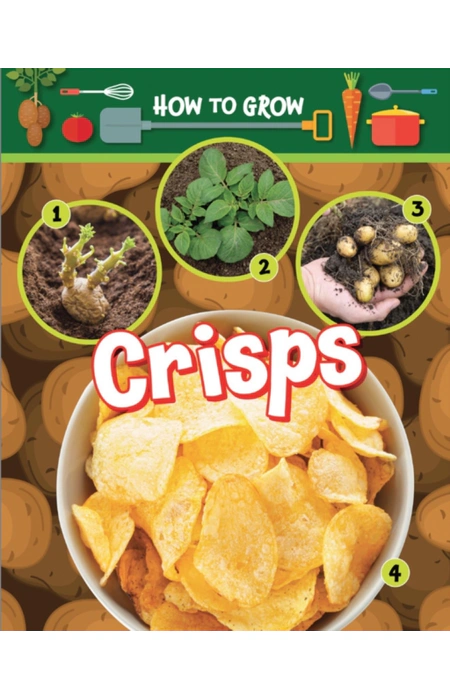 Main Product