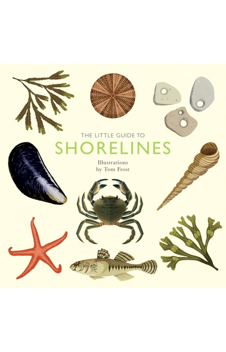 Main Product