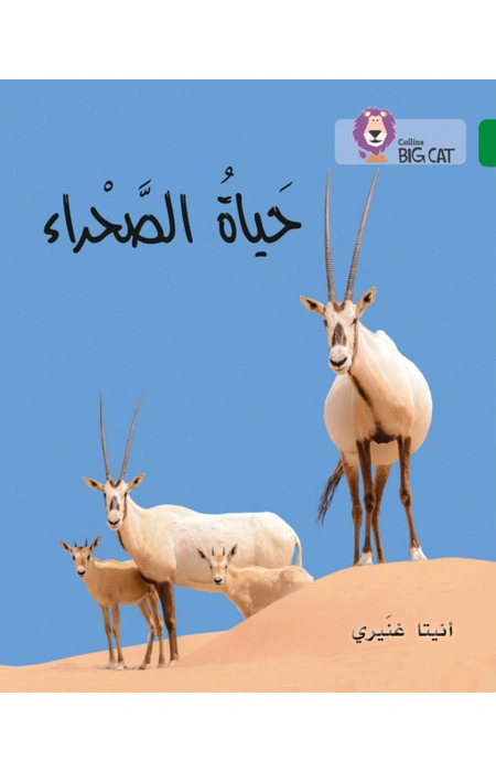 Main Product