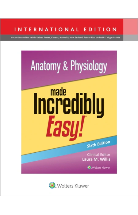 Main Product