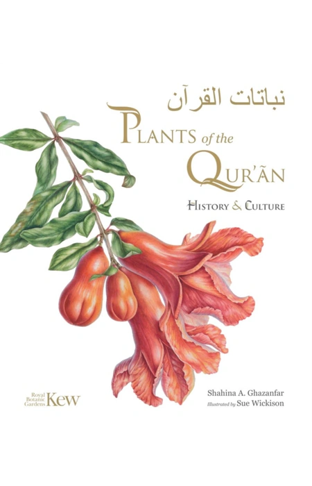 Main Product