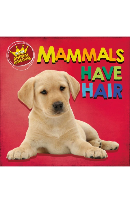 Main Product