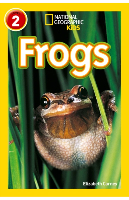 Main Product