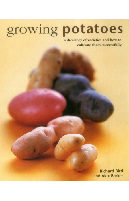 Main Product