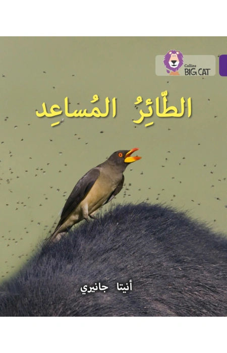 Main Product