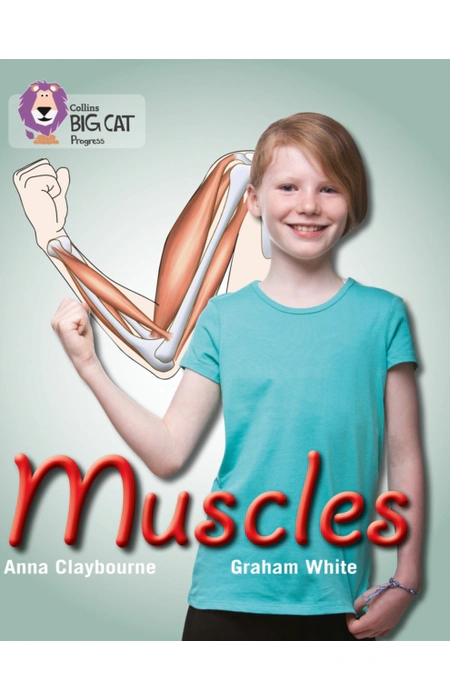 Main Product