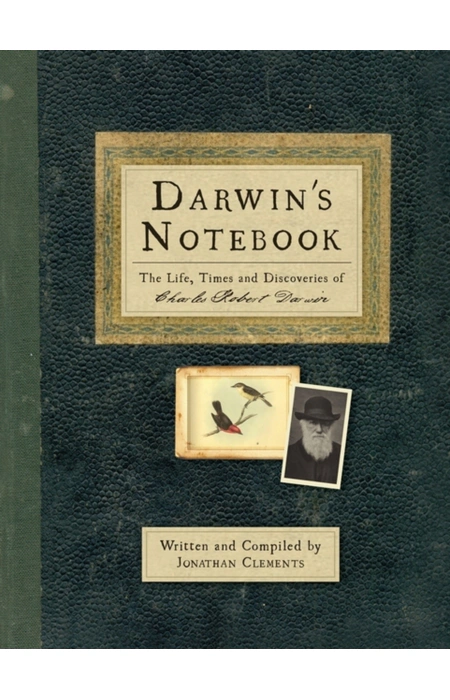 Main Product