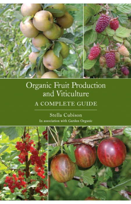 Main Product