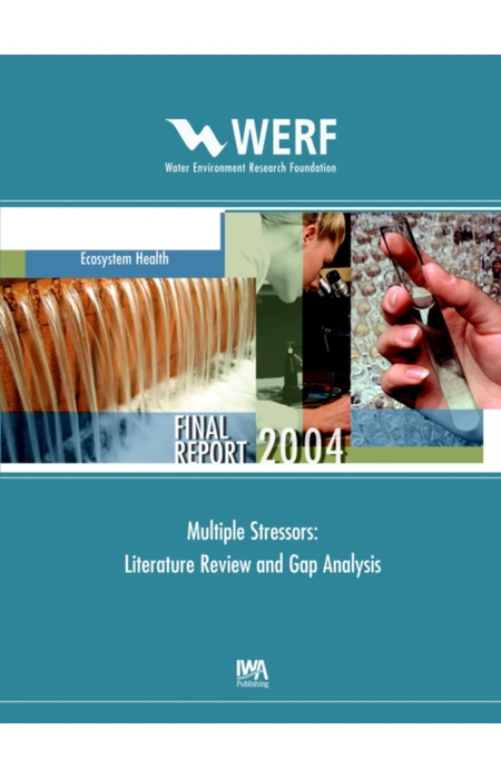 Main Product