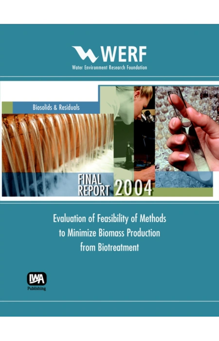 Main Product