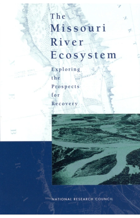Main Product