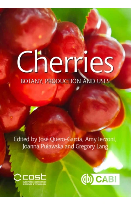 Main Product