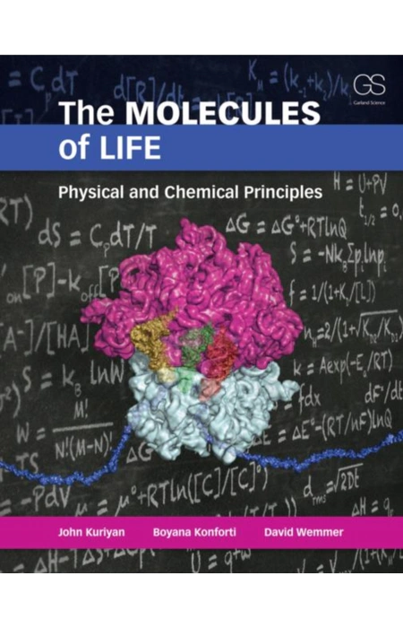 Main Product