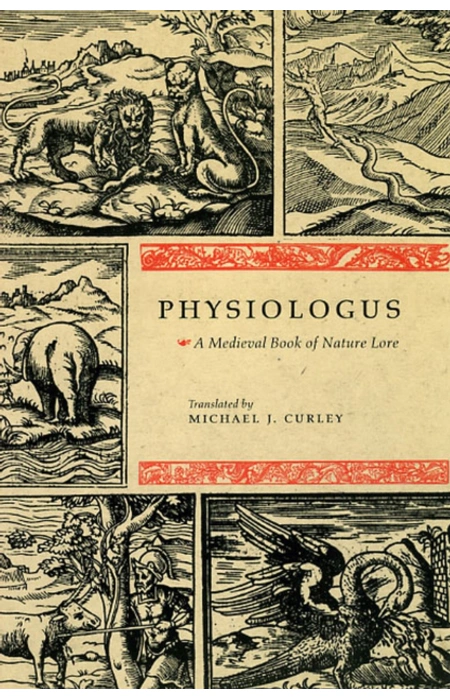 Main Product