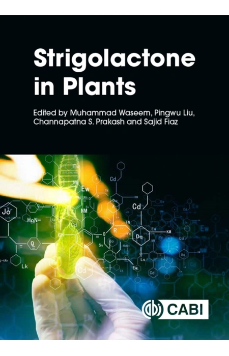 Main Product