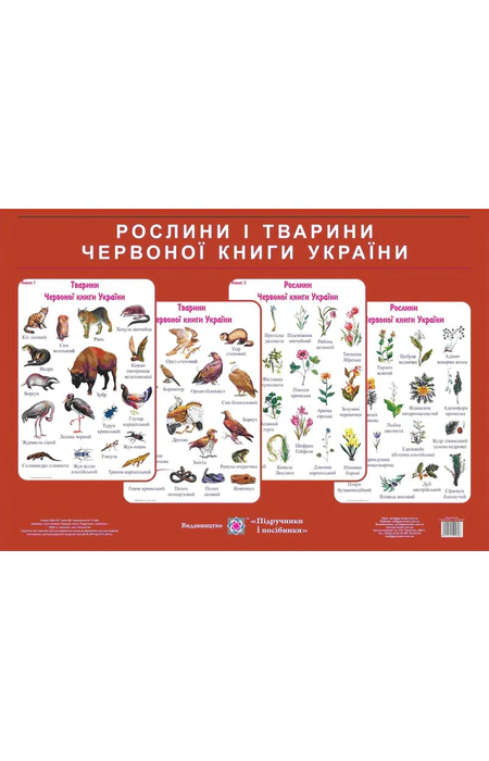 Main Product