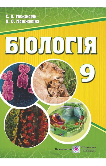 Main Product